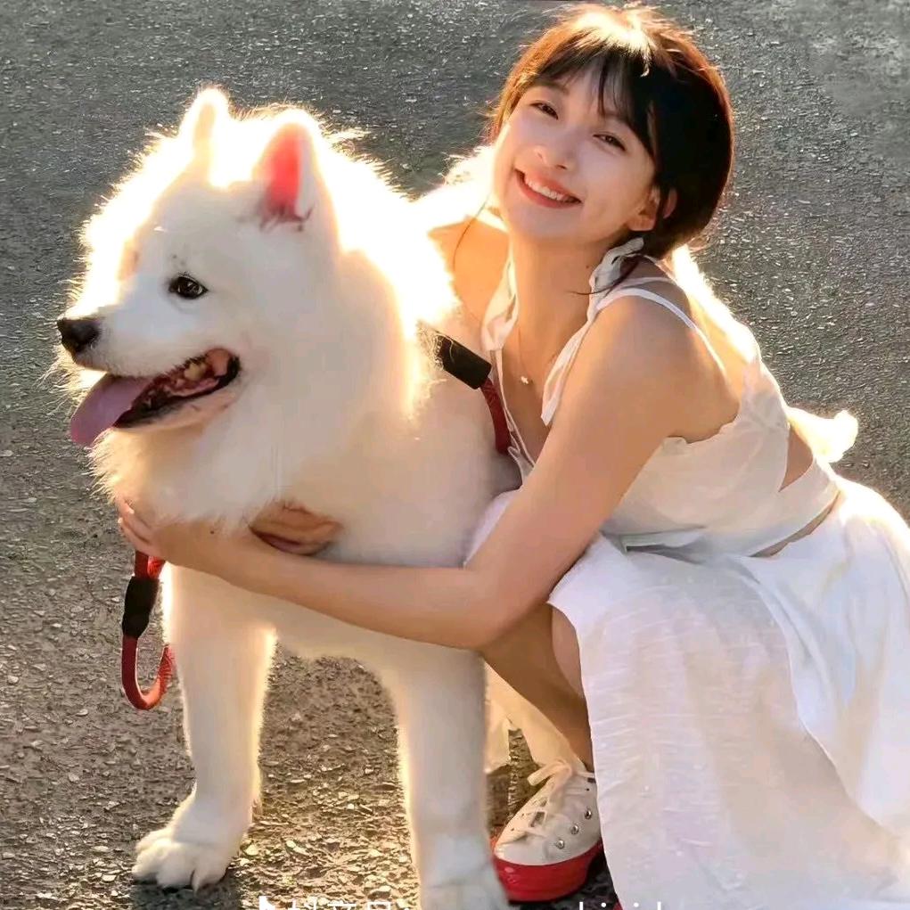 。。。。。。。。。