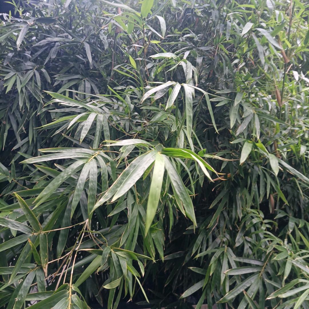 健康就是快乐