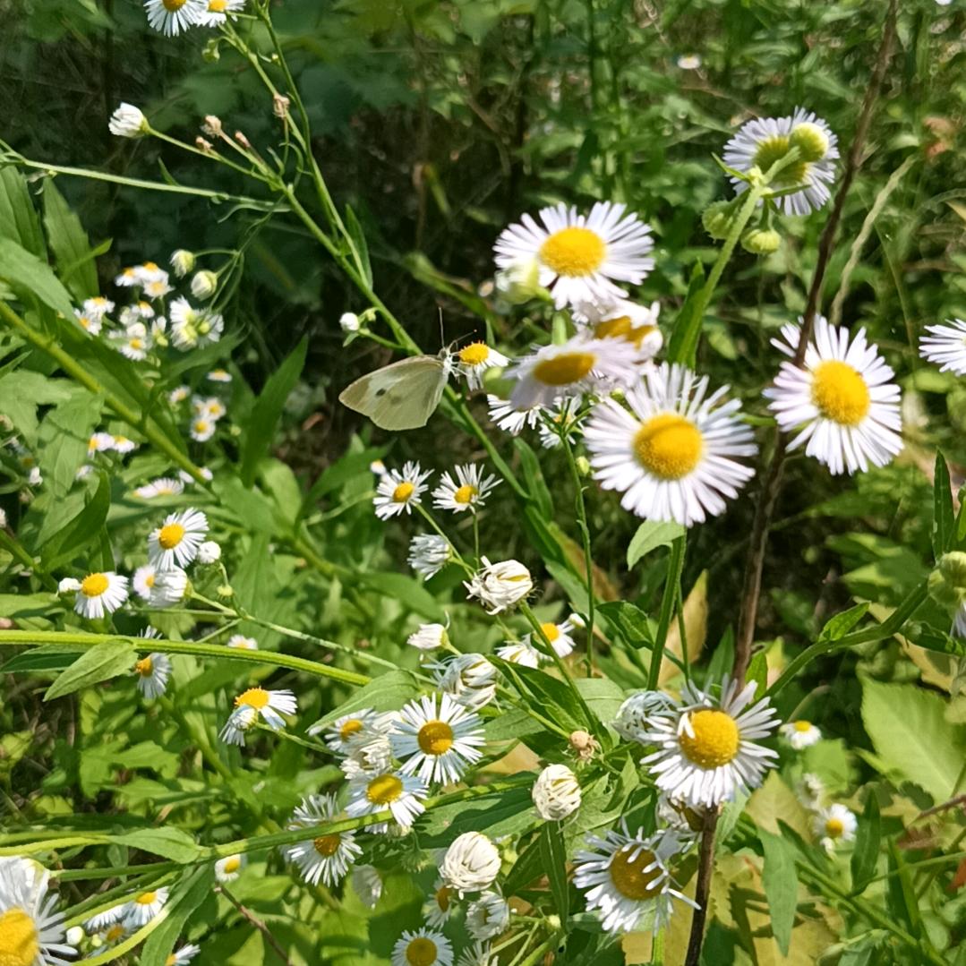 凯凯   (开文具店的爱健身)