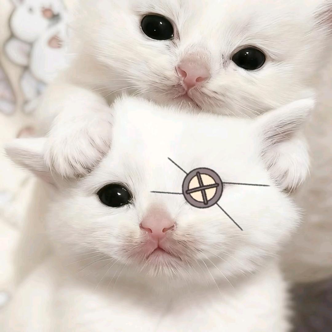 x_x
