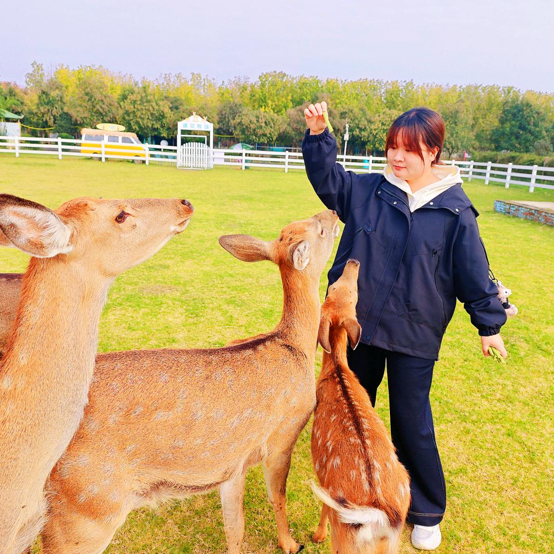 遇见世外桃源—静静