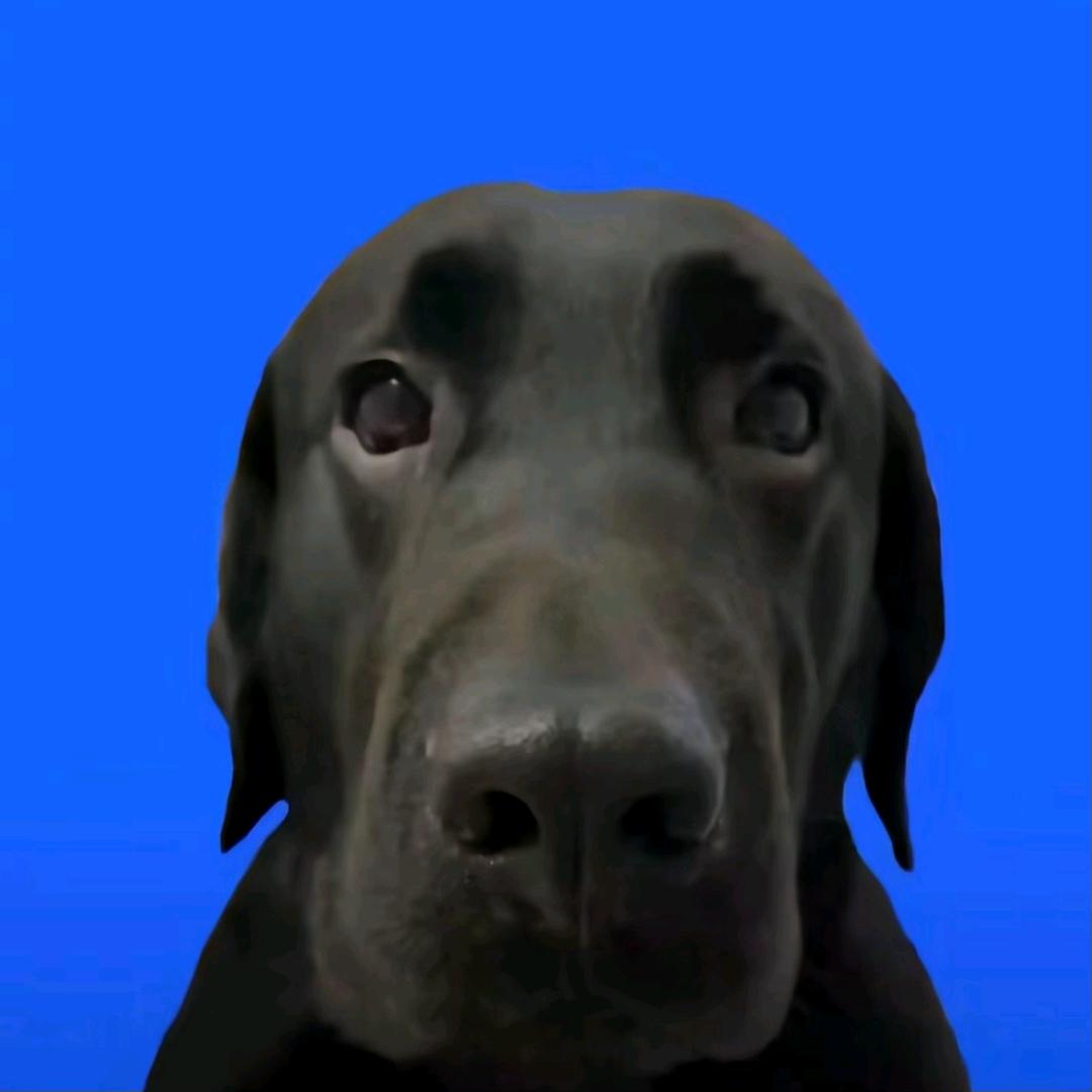 Yama