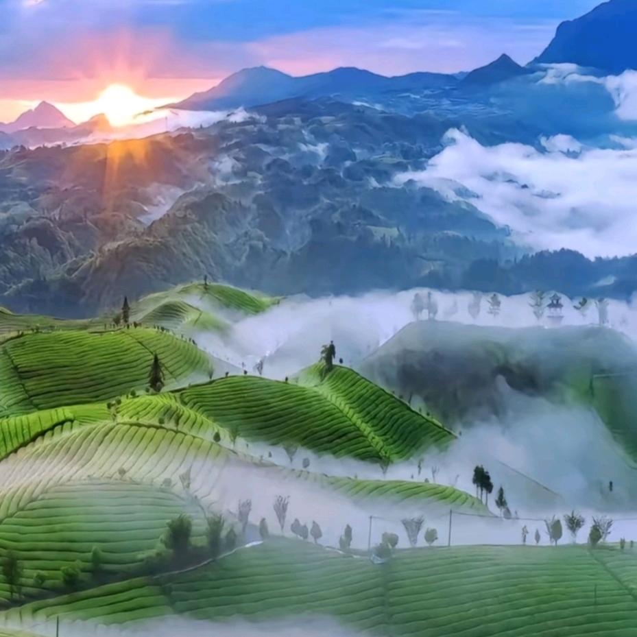 芸熙内增高女鞋