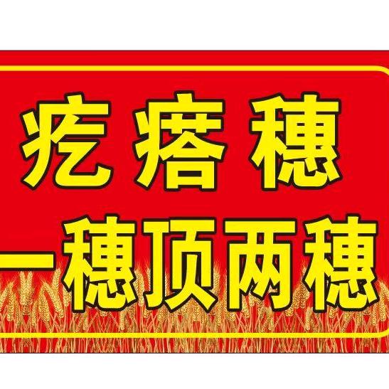脱离服务搞农业都是扯淡