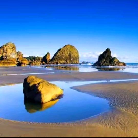 ᭄風生ᝰᩚ水起࿐