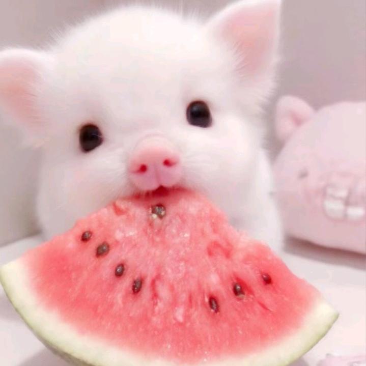 喜欢访客好看的