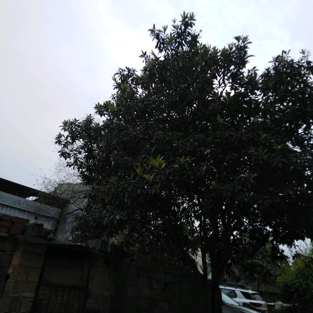 @安AN々