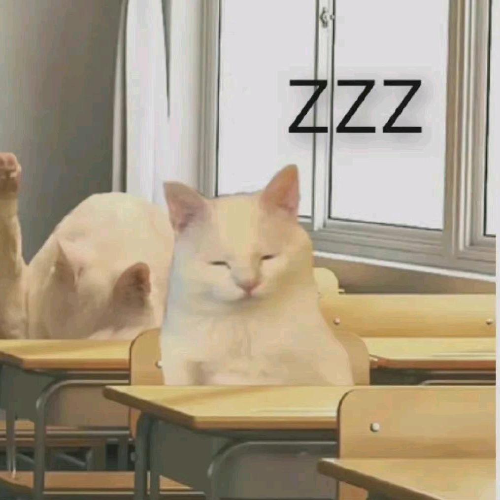 我睡觉的时候不瞌睡