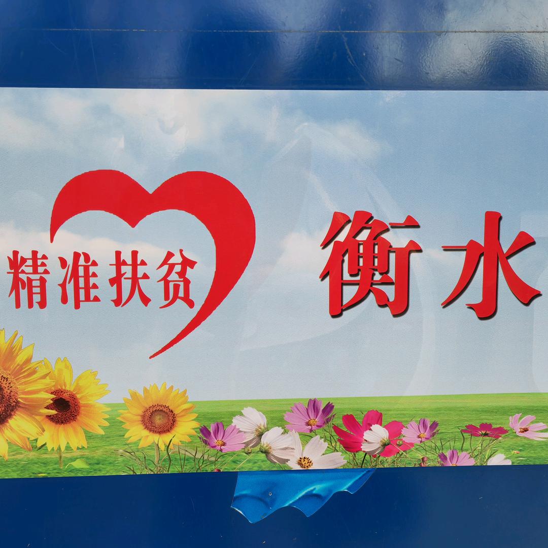 燕雀安枝鸿鹄之志