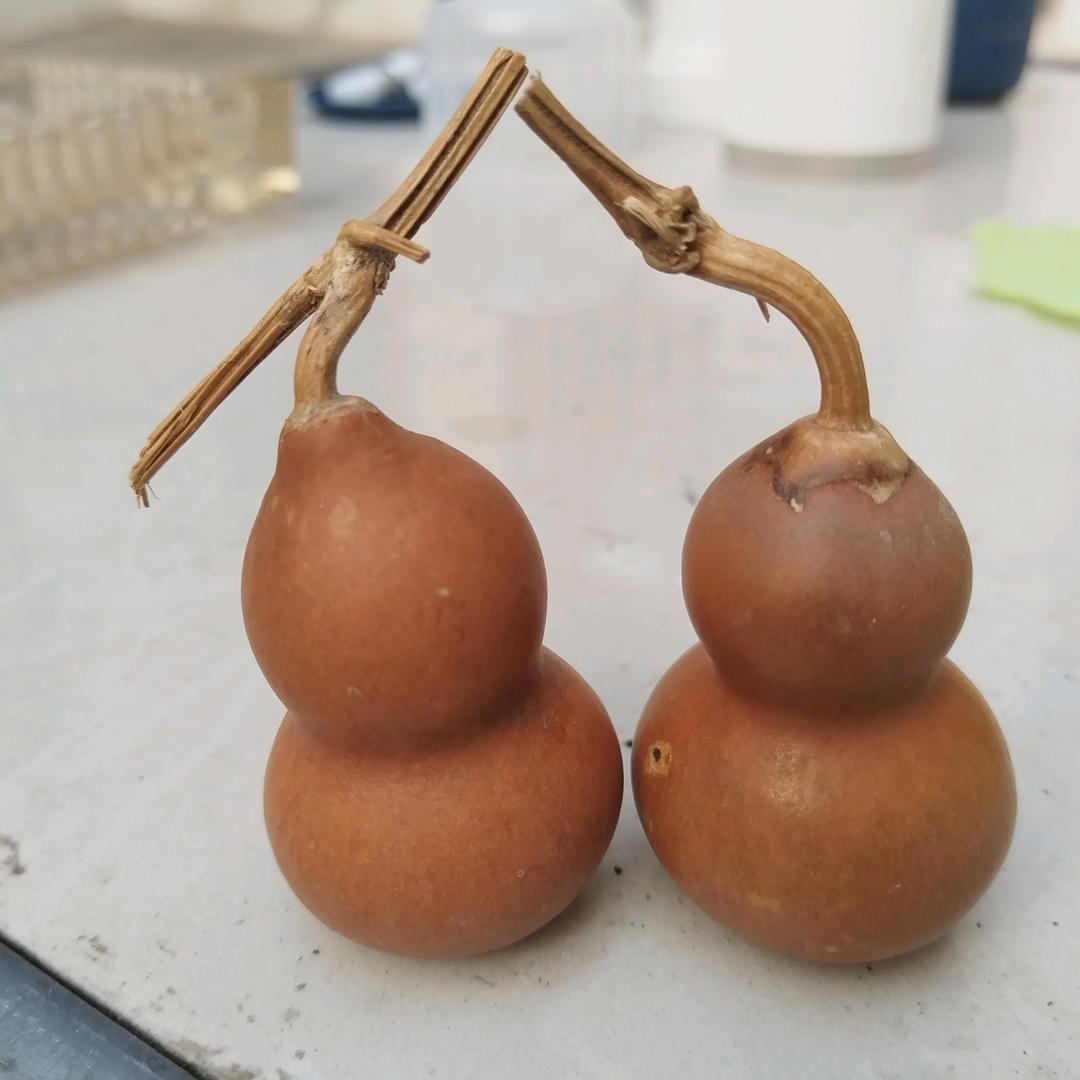 有李行天下