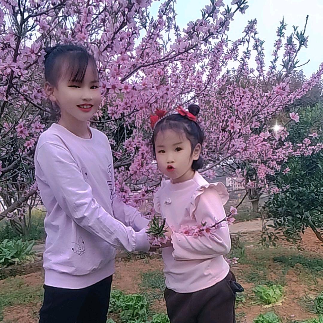 开心快乐每一天🌹🌹🌹🐍