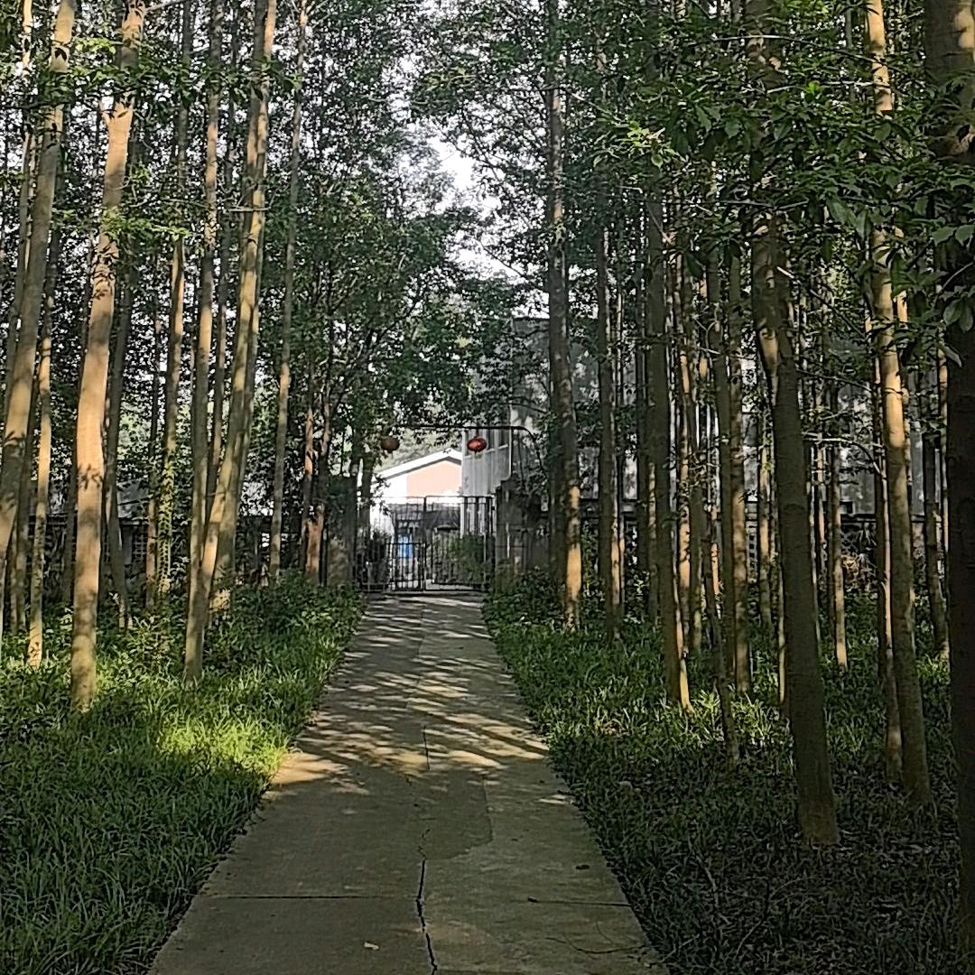 人间清醒