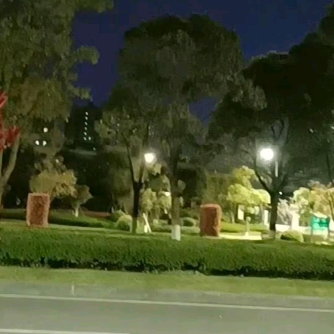 一个人挺好