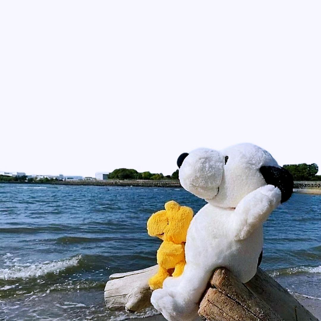 扳手星