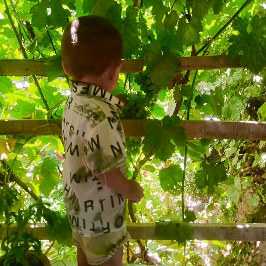 依力扎提江好物