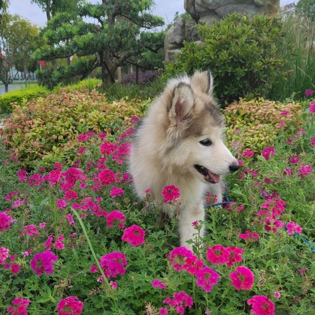 💘草莓酱椰奶💕คิดถึง