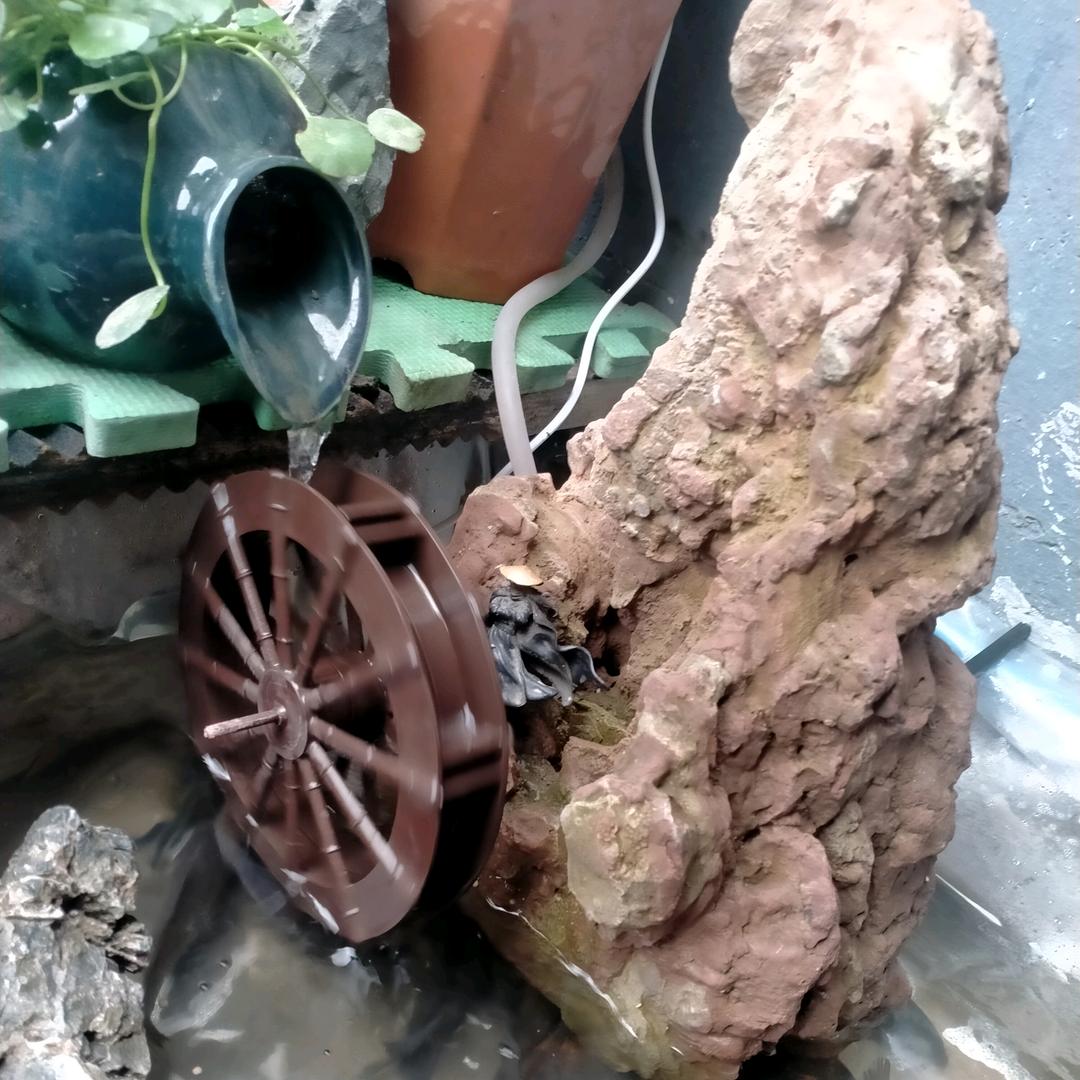 @时来运转 好运常伴