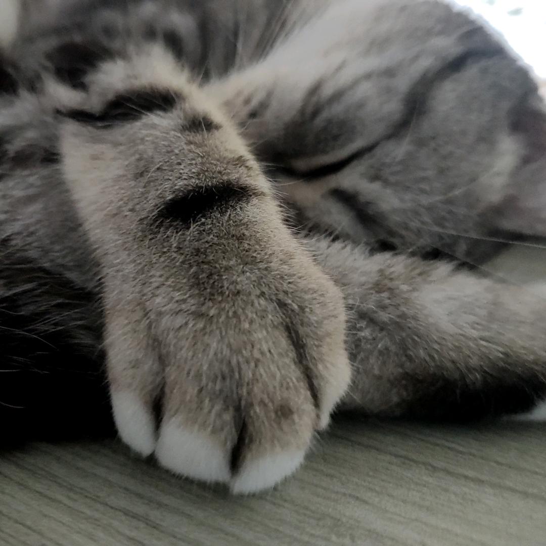 川*枫