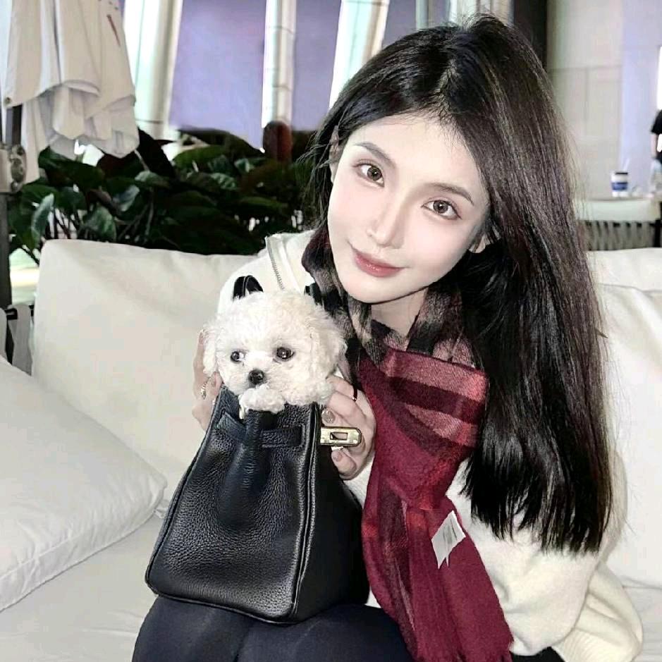 张一琳zlo（直播返场）