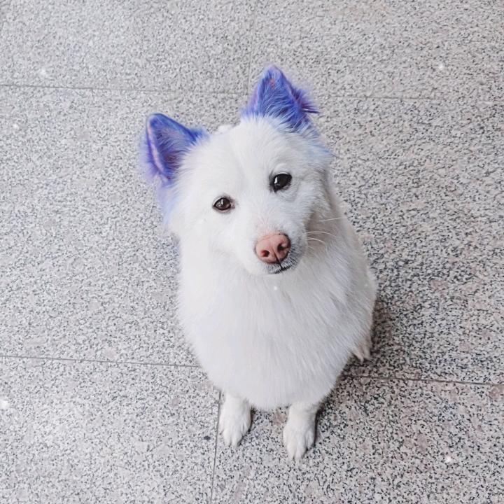 任性小男人