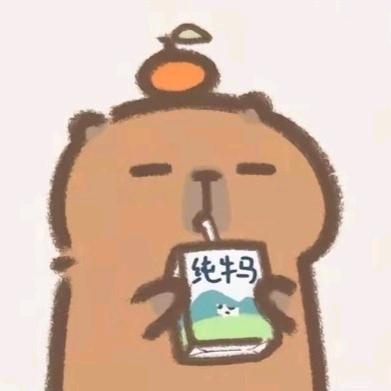 奔跑的五花肉🐖