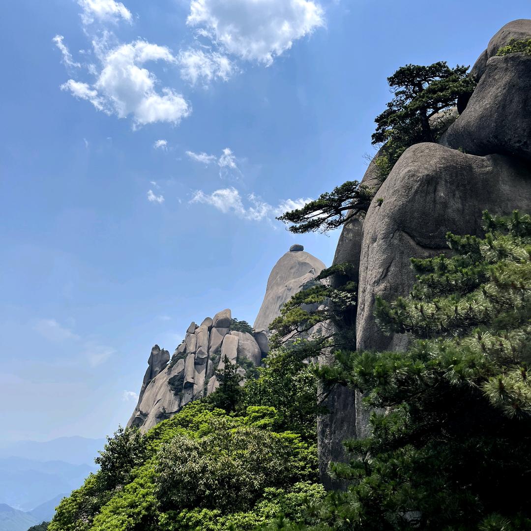七秒记忆