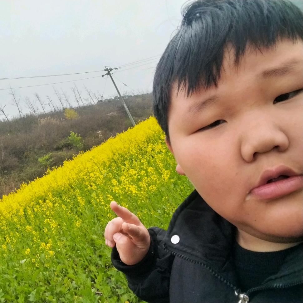 龙印宝贝
