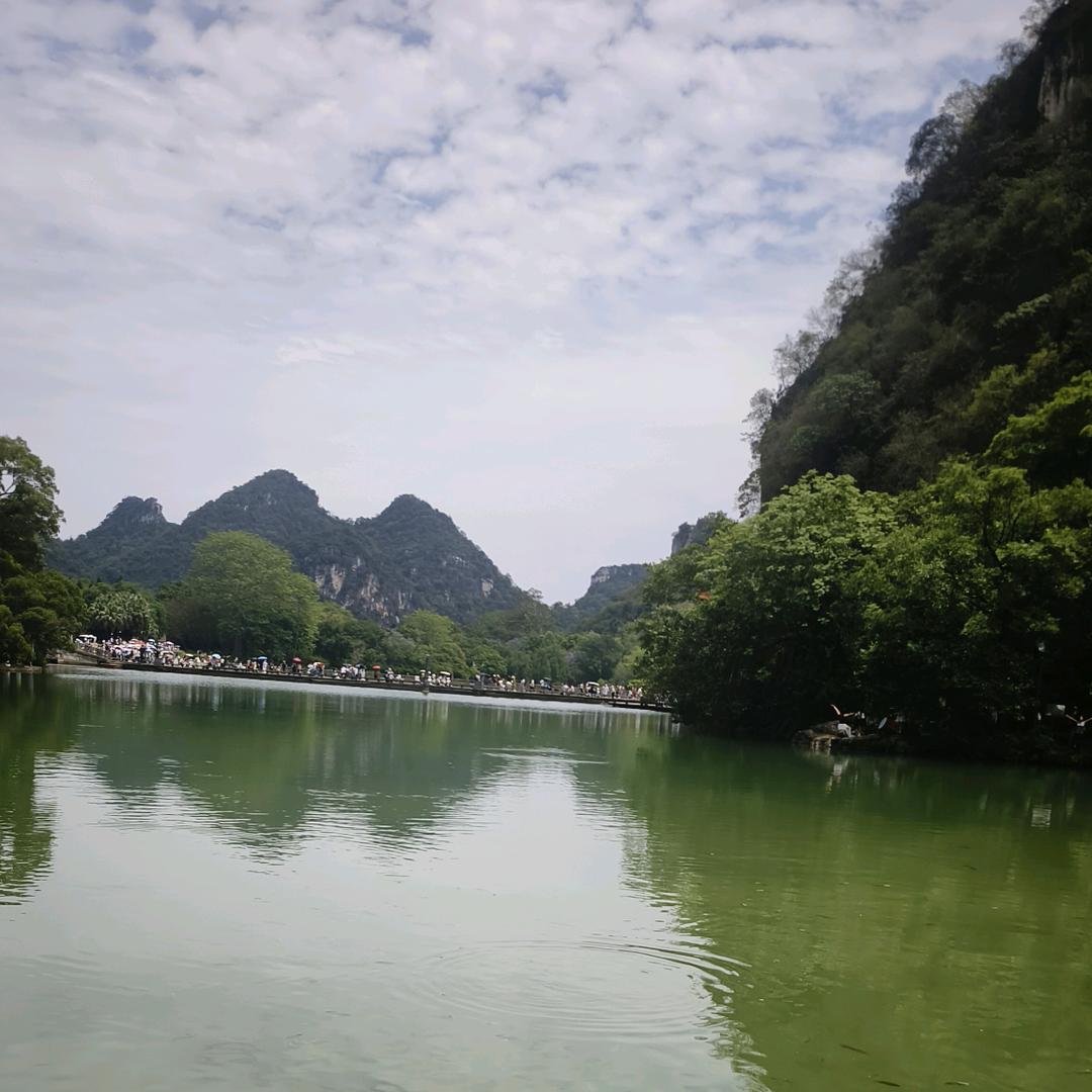樱花下的浪漫