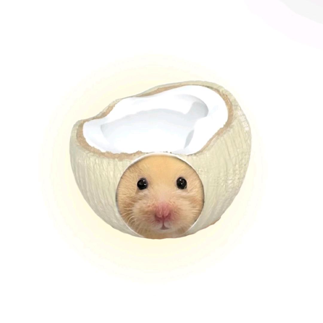 爱吃吒香丙糖的棠师傅