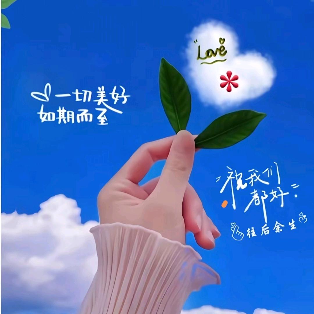 来不来了