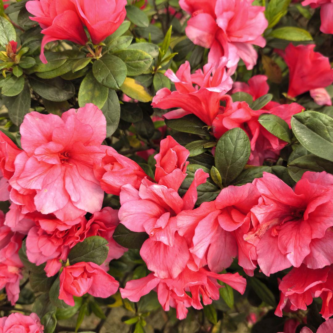 好好开心每一天