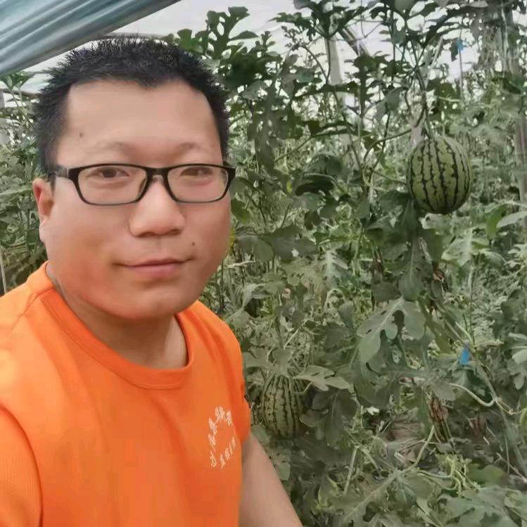小张聊种菜
