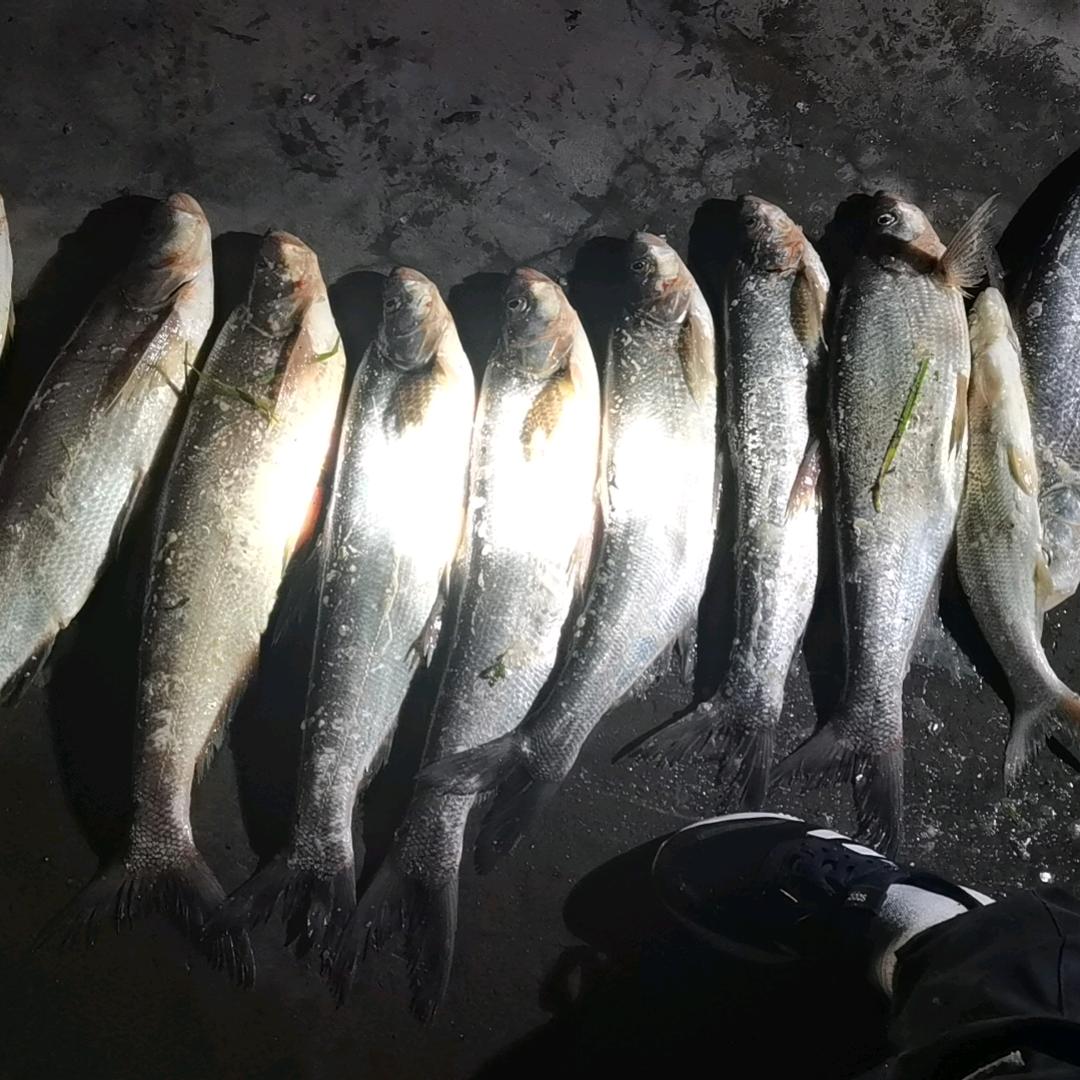一个闲人