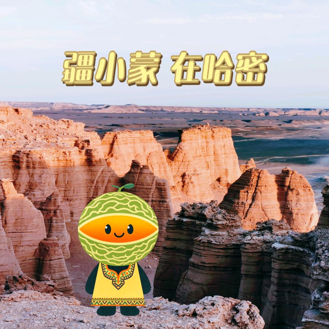 新疆哈密优品生鲜