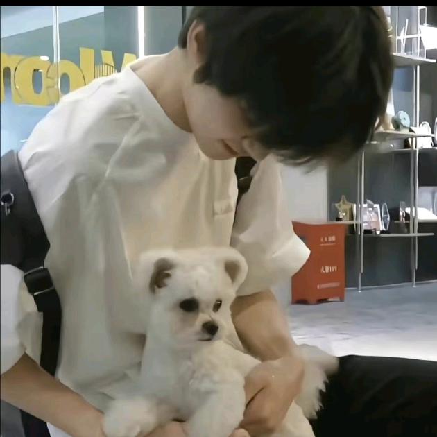 在海里奔跑的修勾🦈ˣʸ