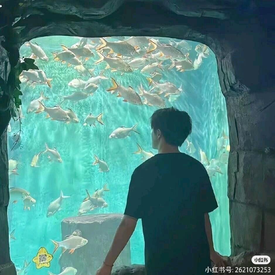 从你的全世界路过