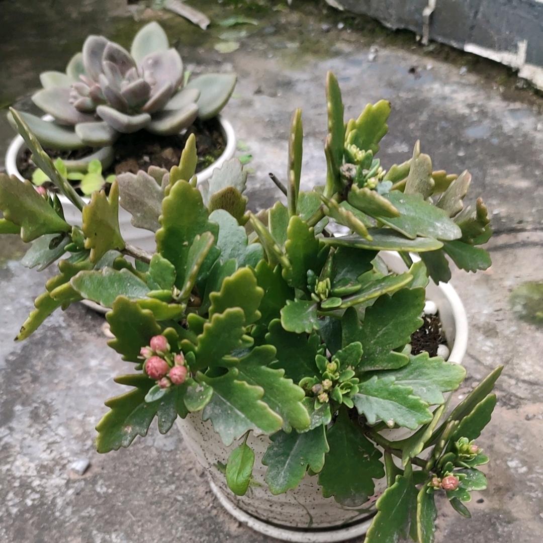 ❤️静自然凉