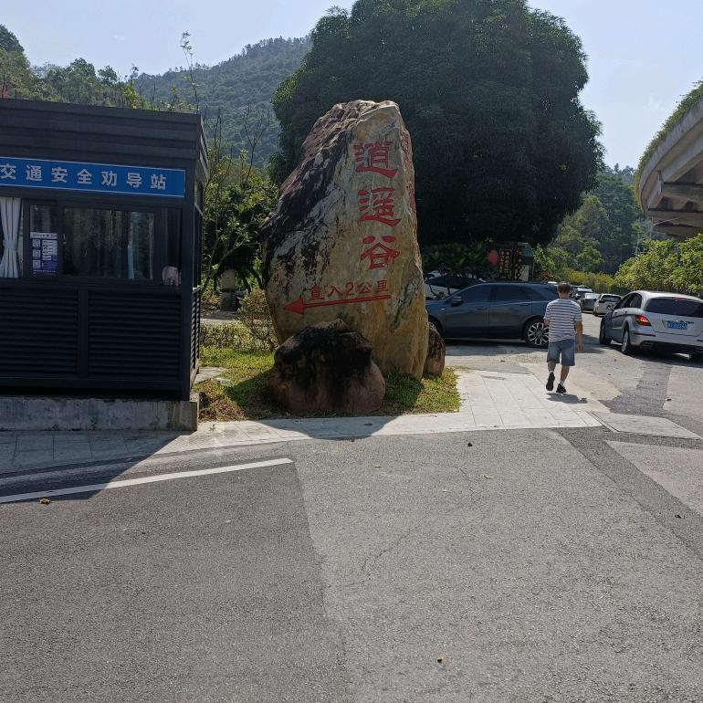 苦乐人生75年9月的兔