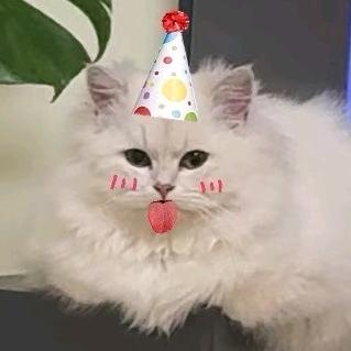 小小怪下士（三角洲顶级牛马）