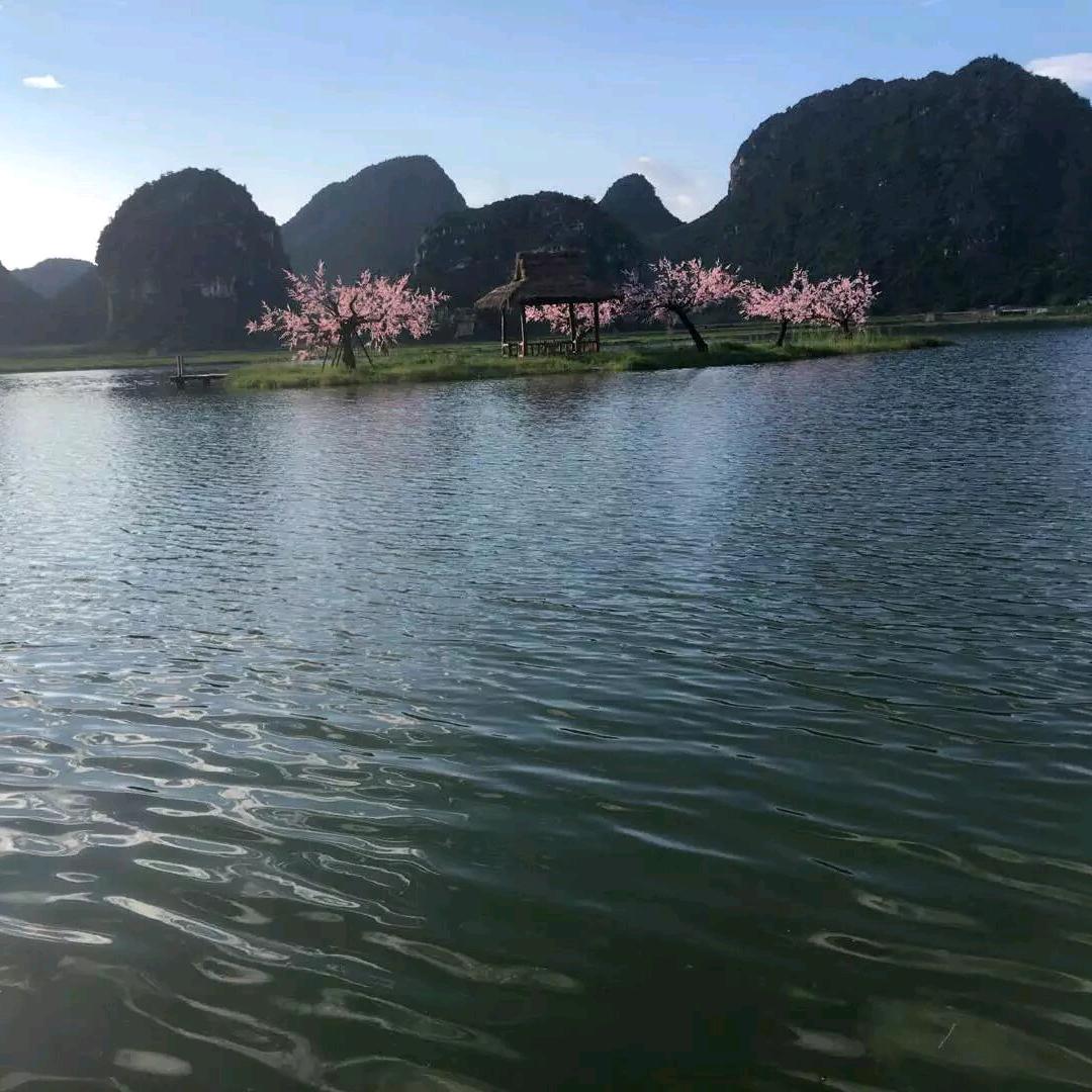 土豆西红柿