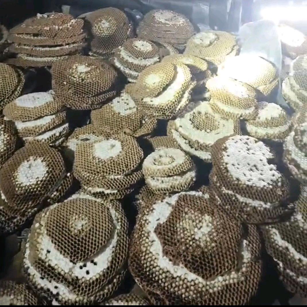 毛毛销售经营部