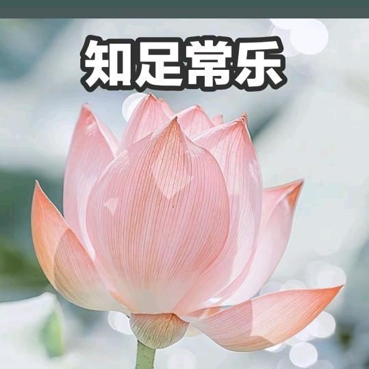 山间雾_雨中城