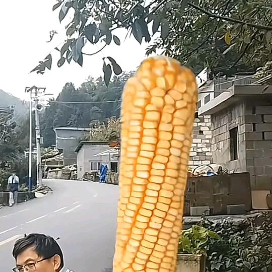永久不老。