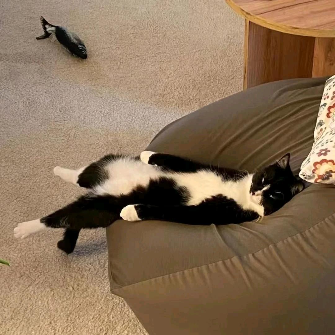 衢.