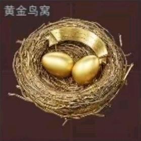 黄金鸟窝报名处