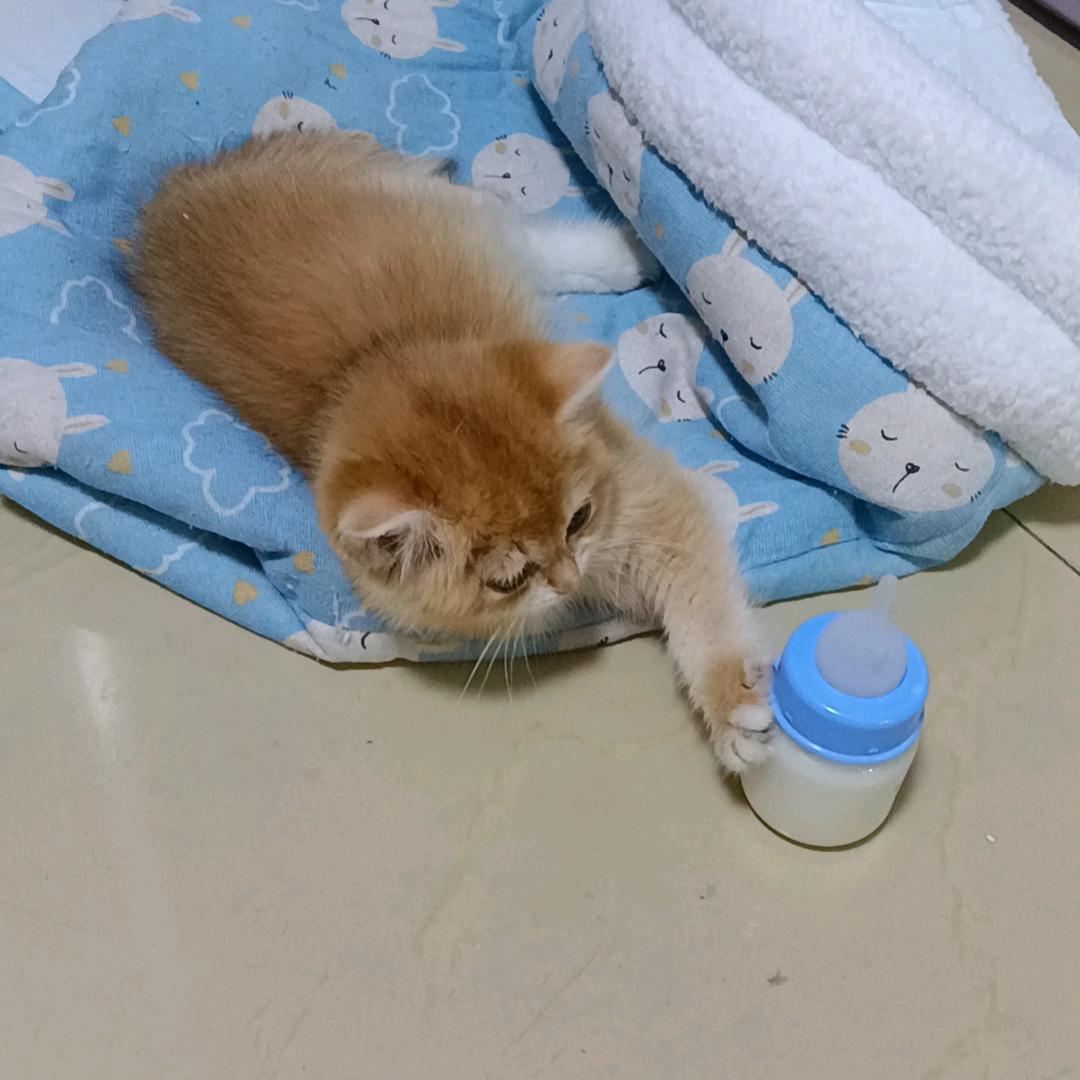 阿剑