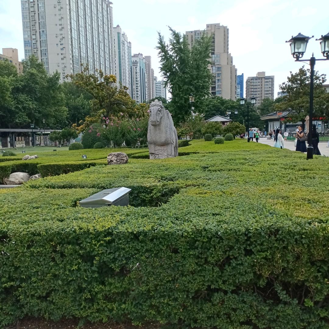 初心，