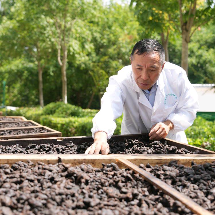 吴振东