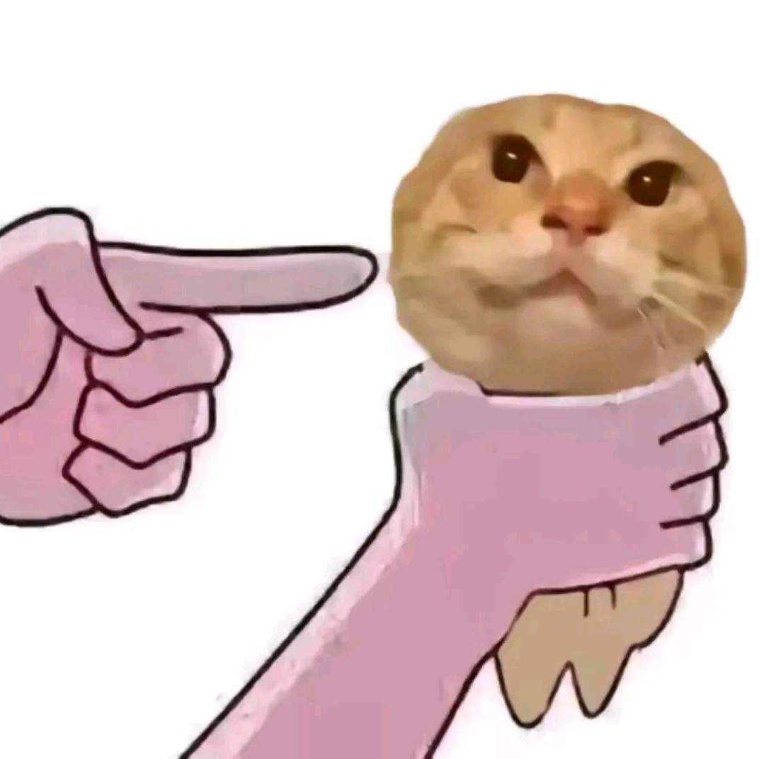 小鱼儿每天（14点50开播）百货