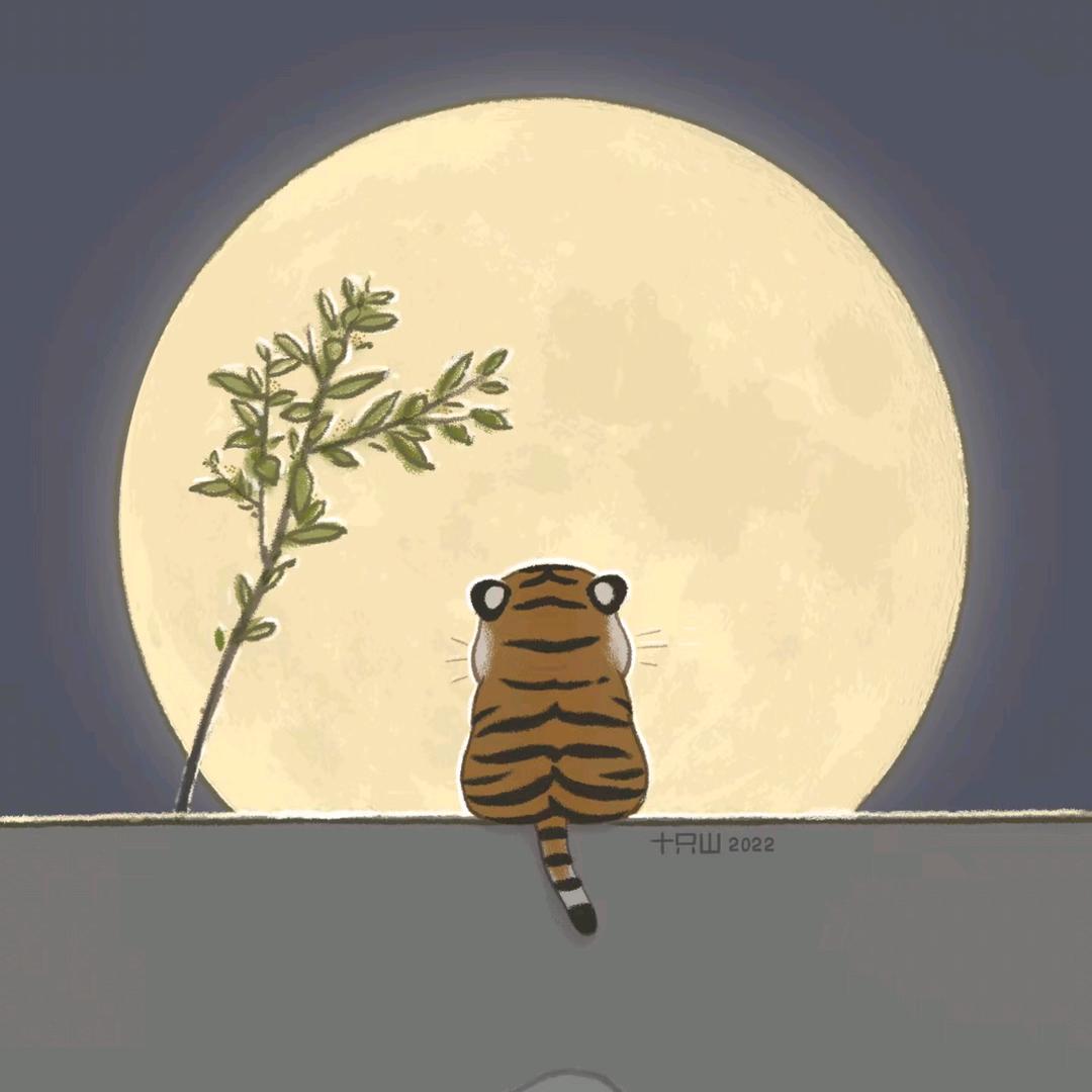 写信告诉我今夜海是什么颜色